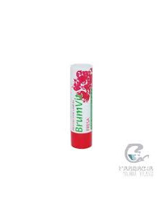 PROTECTOR LABIAL BRUMVIT SPF 25 1 BARRA 4 G AROM