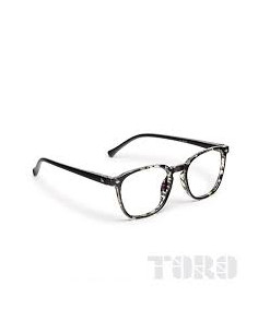GAFA VERONA +2.00 LORING