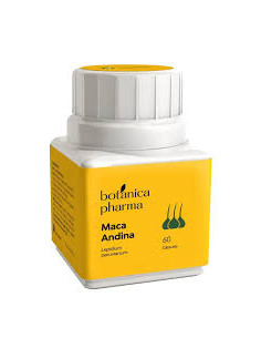 BOTANICAPHARMA MACA 500 MG 60 CAPSULAS