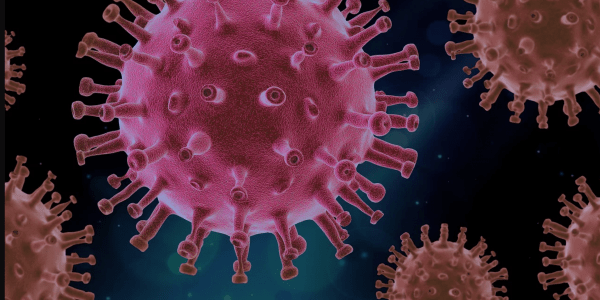 Coronavirus. Todo lo que debes saber sobre la Covid-19