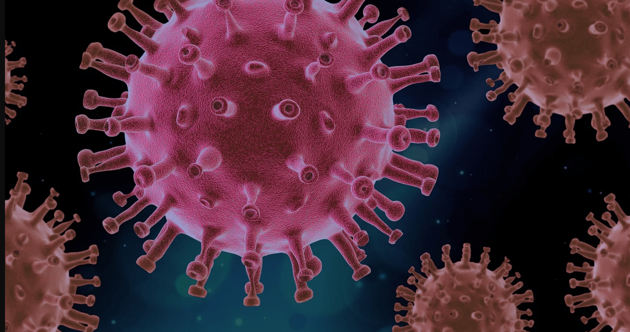 Coronavirus. Todo lo que debes saber sobre la Covid-19
